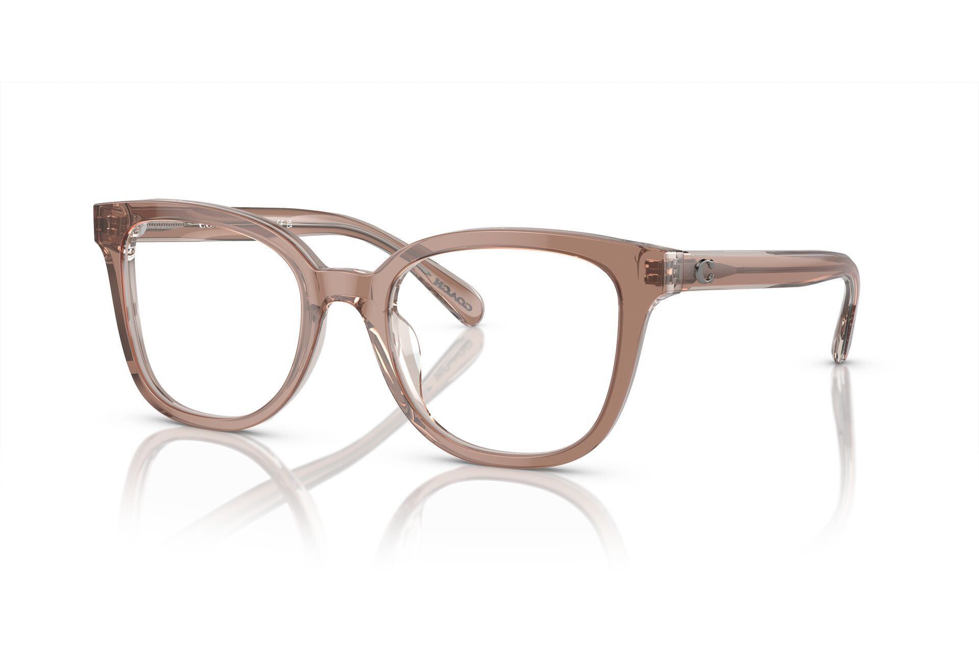 Rayban Full Rim Rounded Shell for Female