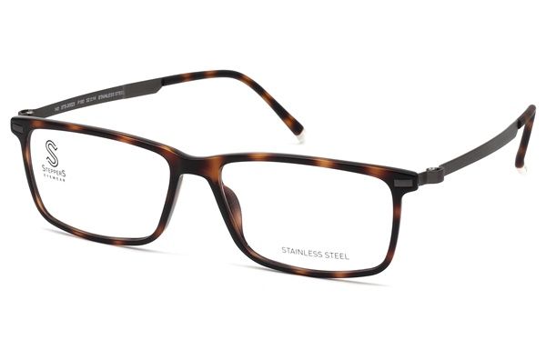 Rayban Full Rim Rounded Shell for Female
