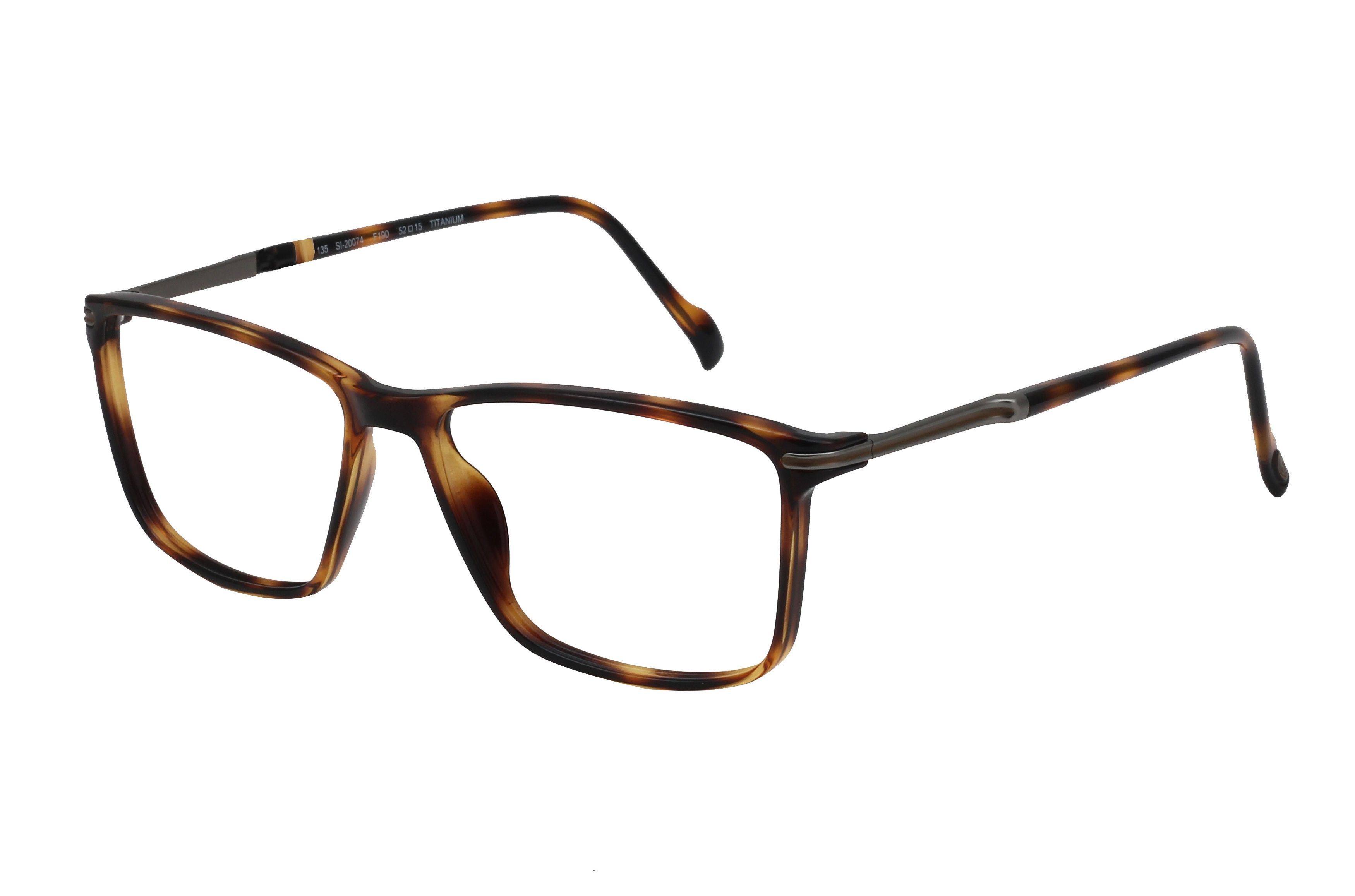 Rayban Full Rim Rounded Shell for Female