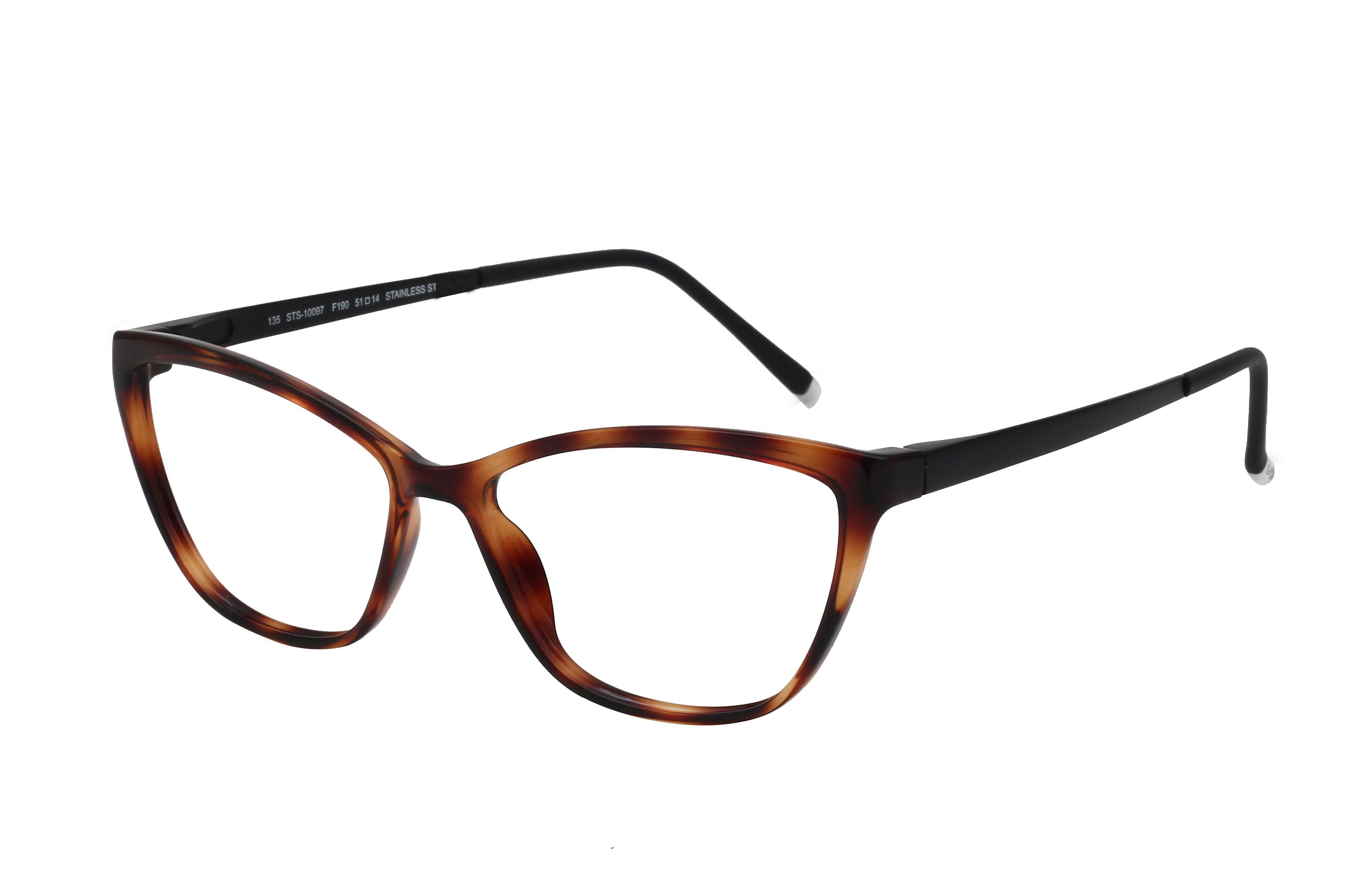 Rayban Full Rim Rounded Shell for Female