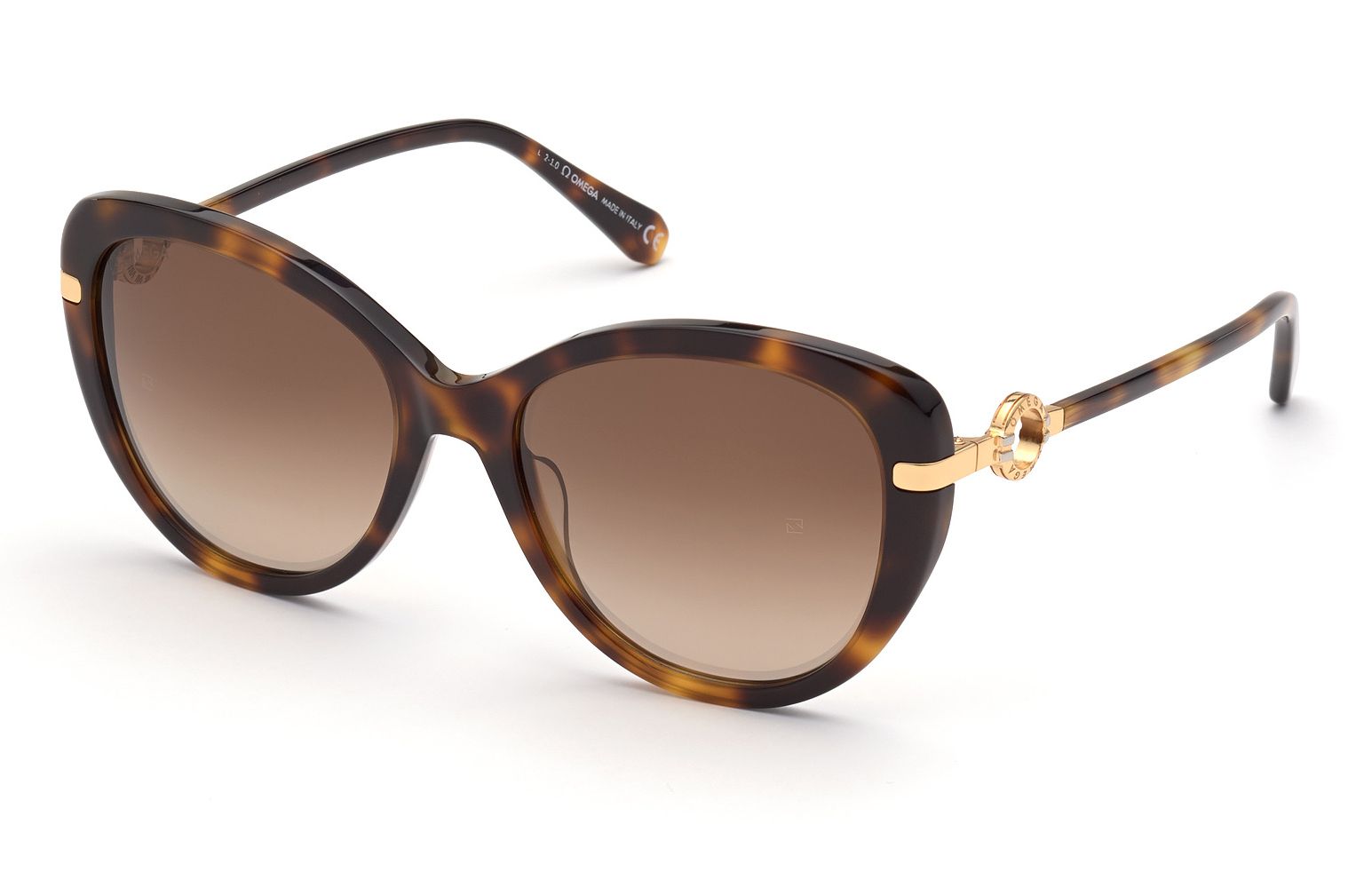 Rayban Full Rim Rounded Shell for Female