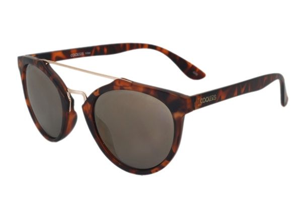 Rayban Full Rim Rounded Shell for Female