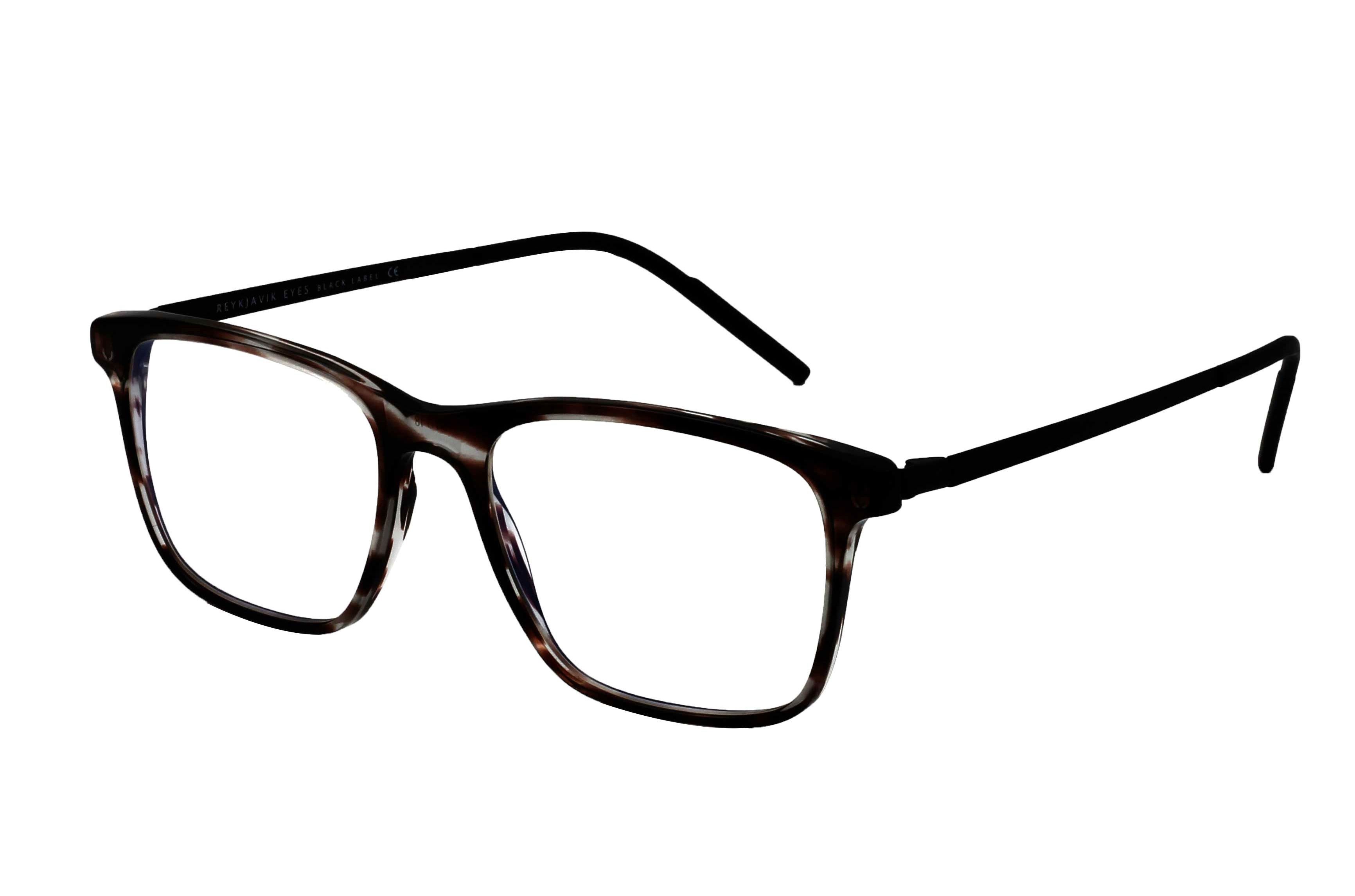 Rayban Full Rim Rounded Shell for Female