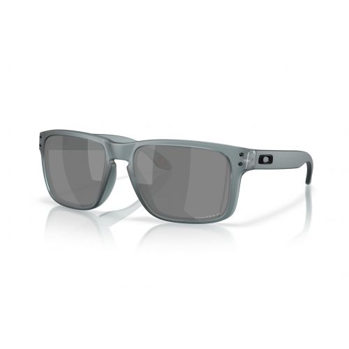 OO9102-Z4 HOLBROOK POLAR - GON198GR55