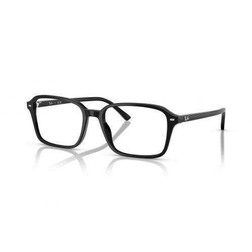 5431 2000 RAIMOND - GRX231BL54