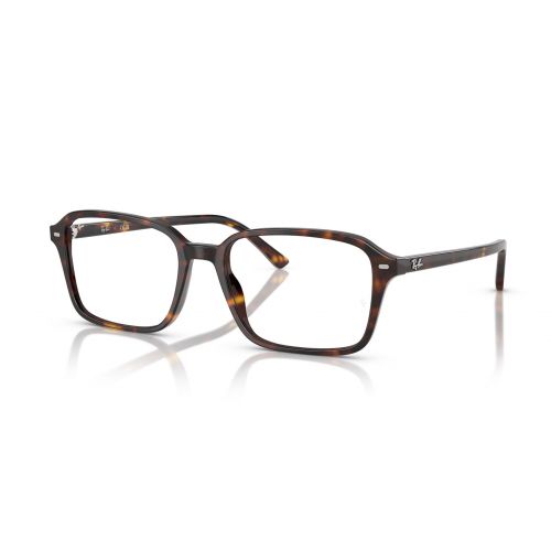 5431 2012 RAIMOND - GRX232BR54