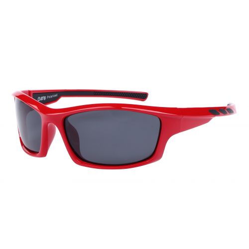 CHAMP S8004 C6 POLARIZED - JNN109RD60