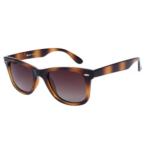 SUNDRIVE SD S1011 C2 POLARIZED - JNN113BR51