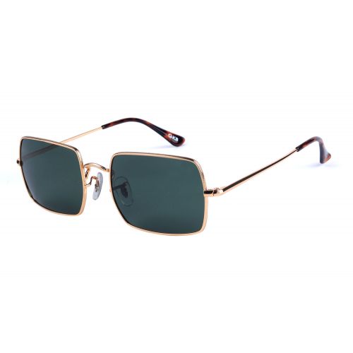 AK17186 C6 POLARIZED - JNN213GL54