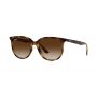 RB 4378 710/13 3N - RB661BR54 by GKB Opticals