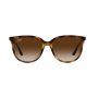 RB 4378 710/13 3N - RB661BR54 by GKB Opticals